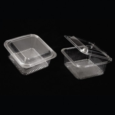 Containers with Lid 