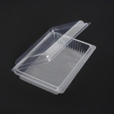 Containers with Lid