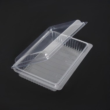 Containers with Lid
